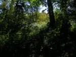mbkalaszarterDSCF1026.jpg