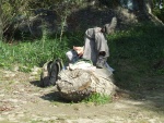 mhofilabadunaDSCF3636.JPG