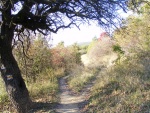 hhDSCF0952.jpg